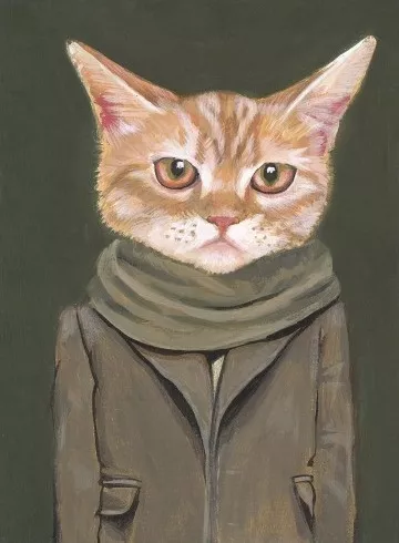 Cooper by Heather Mattoon, Cats in Clothes
