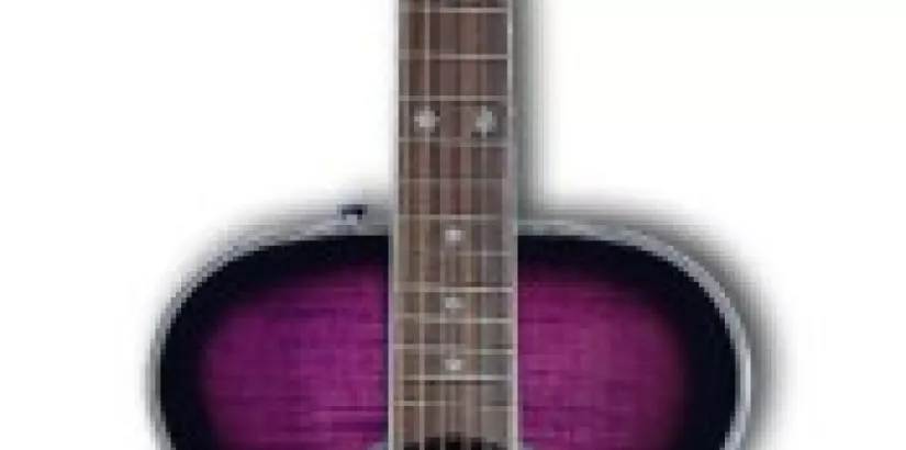 Daisy Acoustic Purple Guitar